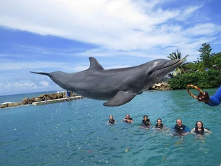 Easy Does It Island Tours Jamaica photo 2
