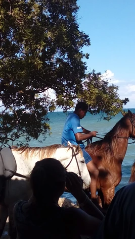 Easy Does It Island Tours Jamaica photo 16