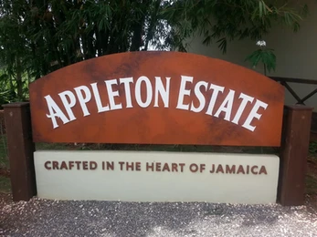 Easy Does It Island Tours Jamaica photo 14