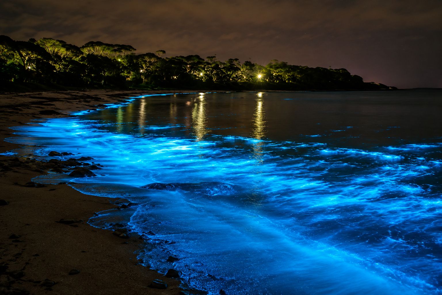 Luminous Lagoon & Falmouth Shopping